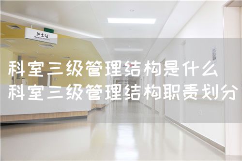科室三級管理結(jié)構(gòu)是什么（科室三級管理結(jié)構(gòu)職責(zé)劃分）(圖1)