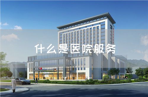 什么是醫(yī)院服務(wù)(圖1)