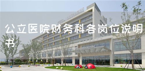 公立醫(yī)院財務(wù)科各崗位說明書(圖1)