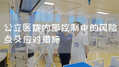 公立醫(yī)院內(nèi)部控制中的風(fēng)險點及應(yīng)對措施(圖1)