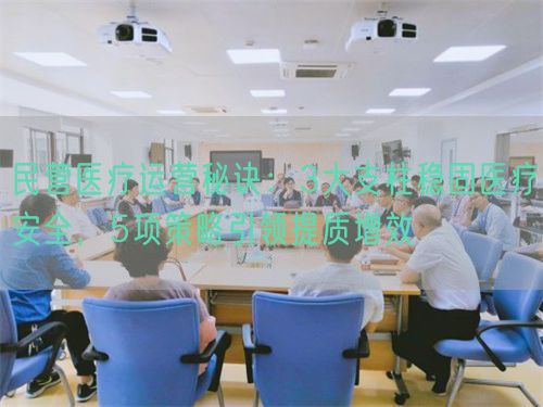 民營(yíng)醫(yī)療運(yùn)營(yíng)秘訣：3大支柱穩(wěn)固醫(yī)療安全，5項(xiàng)策略引領(lǐng)提質(zhì)增效(圖1)