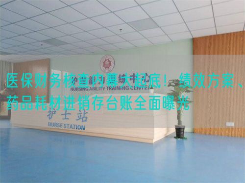 醫(yī)保財務(wù)核查內(nèi)幕大起底！績效方案、藥品耗材進(jìn)銷存臺賬全面曝光(圖1)