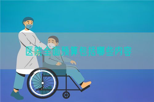 醫(yī)院全面預(yù)算包括哪些內(nèi)容(圖1)